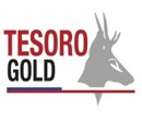 Tesoro Gold Limited logo